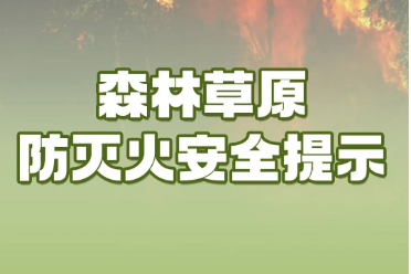 森林防火丨森林防火于未“燃”，紧绷“安全弦”！