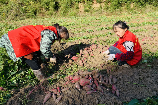 微信图片_20211111085320.jpg 微信图片_20211111085320.jpg
