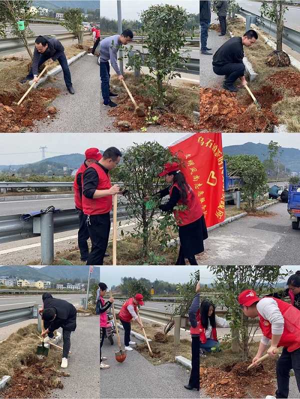 植树.jpg 植树.jpg