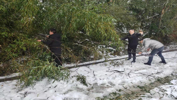浴“雪”奋战党旗扬,除雪保畅领航者(1)437.png 浴“雪”奋战党旗扬,除雪保畅领航者(1)437.png