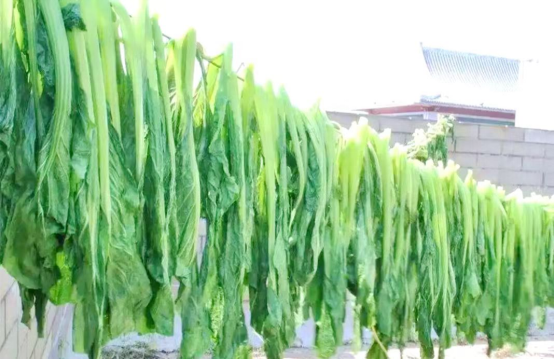 （随笔）儿时美味记忆：冲菜子286.png