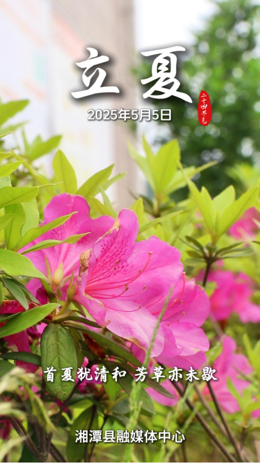 二十四节气海报立夏499.png