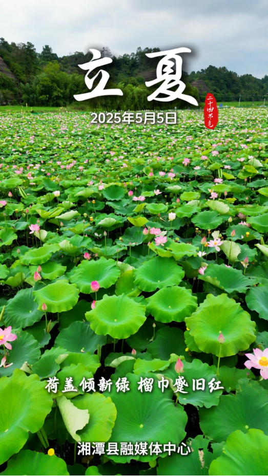 二十四节气海报立夏498.png