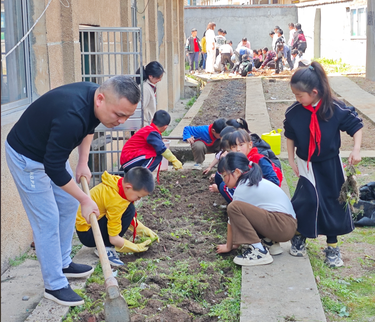排头乡黄荆坪中心小学：劳动教育进课堂，菜园丰收悦童心