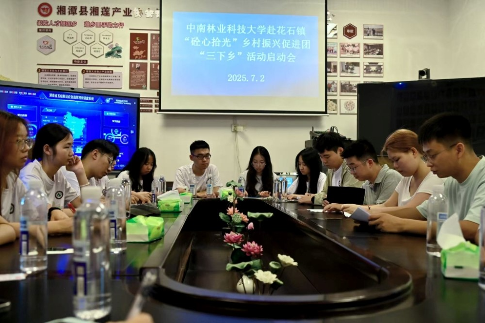 花石镇联动中南林大“砼心拾光” 团队 暑期“三下乡”赋能乡村振兴