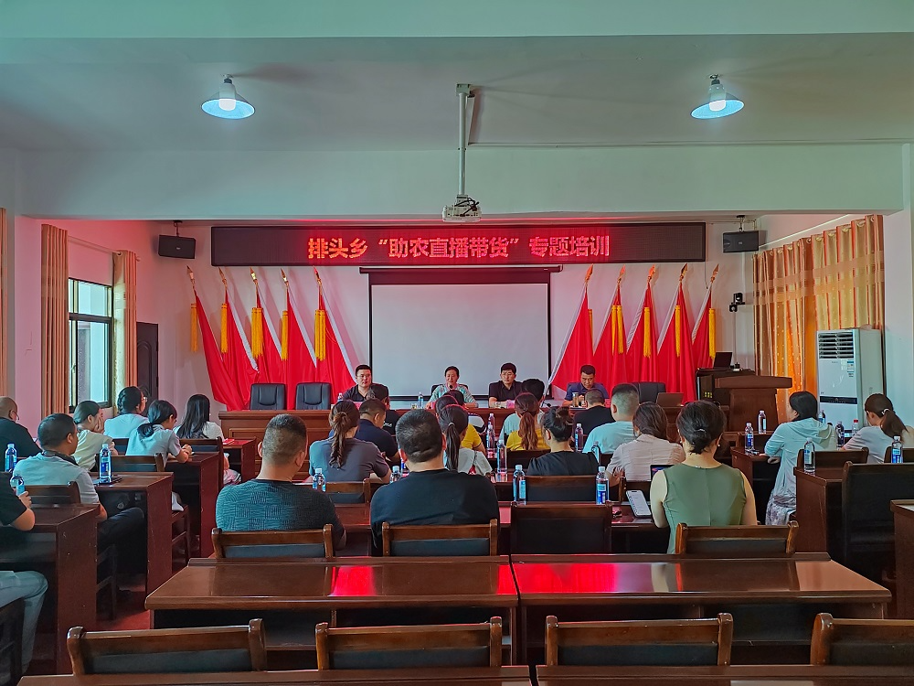 排头乡：组织开展助农直播培训