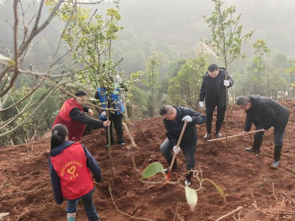 春风添新绿 植树正当时——河口镇机关干部开展义务植树活动