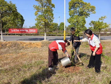 易俗河镇吴家巷社区：开展“践行核心价值，植树造林添新绿”志愿服务活动