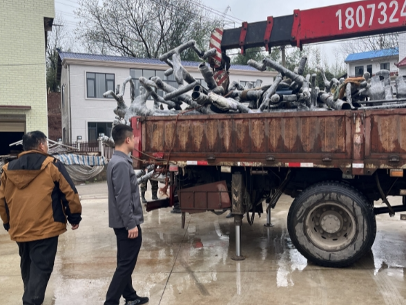 射埠镇：体育器材配送到村，家门口新添健身阵地