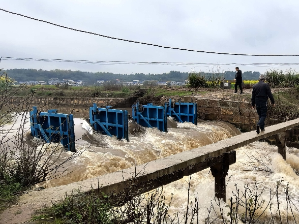 锦石乡：村级河长巡河护水 护航春耕保民生