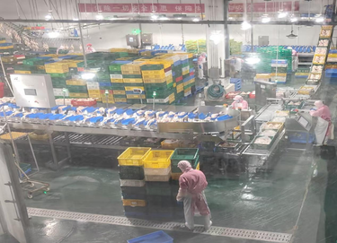 新春走基层 护航特色兴 | 中路铺镇走访家禽特色产业重点企业