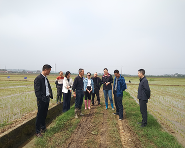 石潭镇：雨过天晴抢农时 机械比武促提质