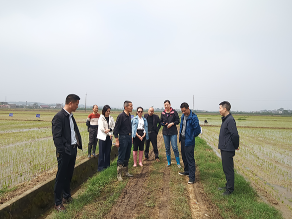 石潭镇：雨过天晴抢农时 机械比武促提质