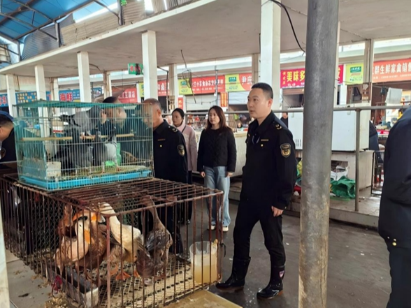 湘潭县市场监督管理局：利剑护飞羽 多部门联合开展保护鸟类和打击非法捕猎贩卖鸟类专项行动