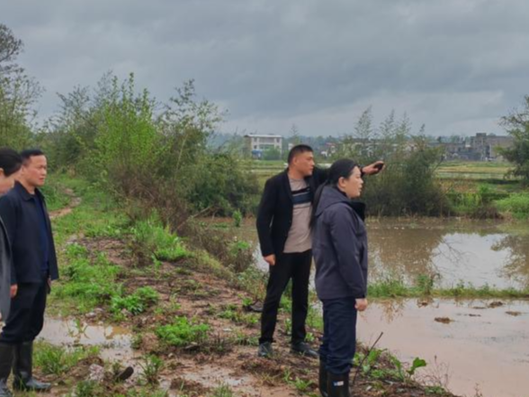 花石镇：抓实源头隐患排查   筑牢汛期安全防线