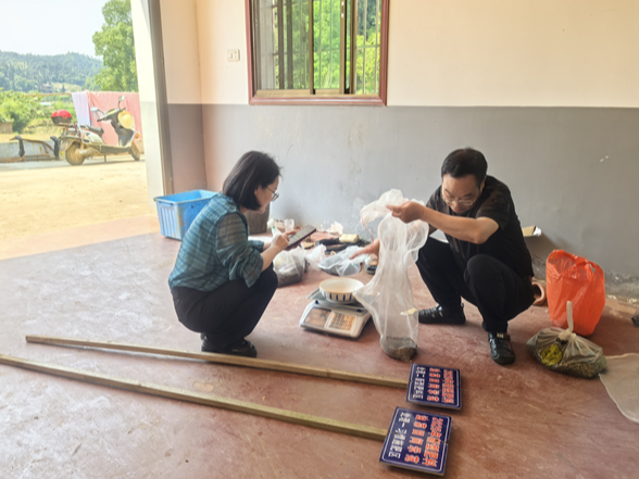 石潭镇：精准测产验成效 新型肥料促丰产