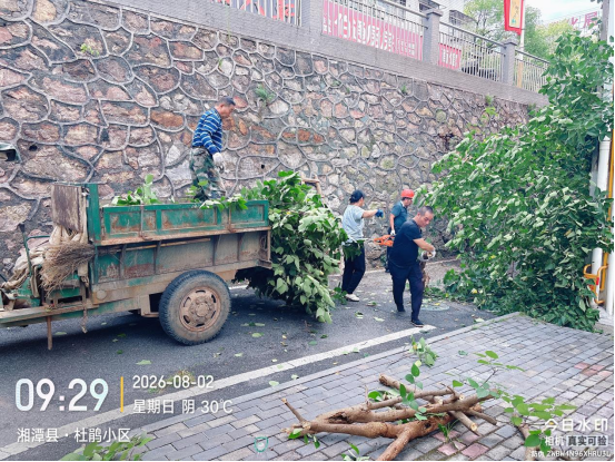 闻险速清倒伏危树 同步推进消防攻坚  —— 易俗河镇百花社区及时消除小区安全隐患