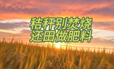 AI视频｜秸秆别焚烧，还田做肥料