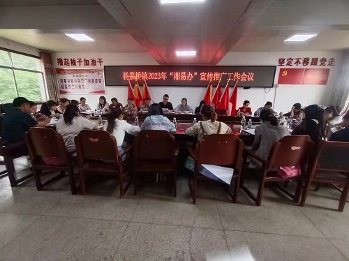 杨嘉桥镇：推广注册“湘易办”，让群众办事一网通办