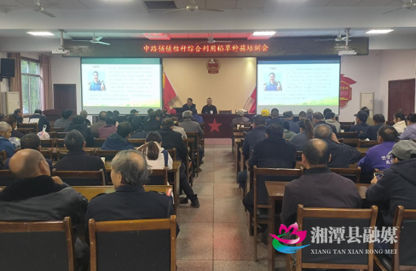 微信图片_20251023153807_409_4.png 微信图片_20251023153807_409_4.png