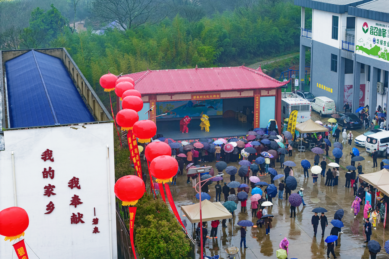 逛市集、赏花海、捉福鱼——碧泉花朝，赴一场春日寻福之约