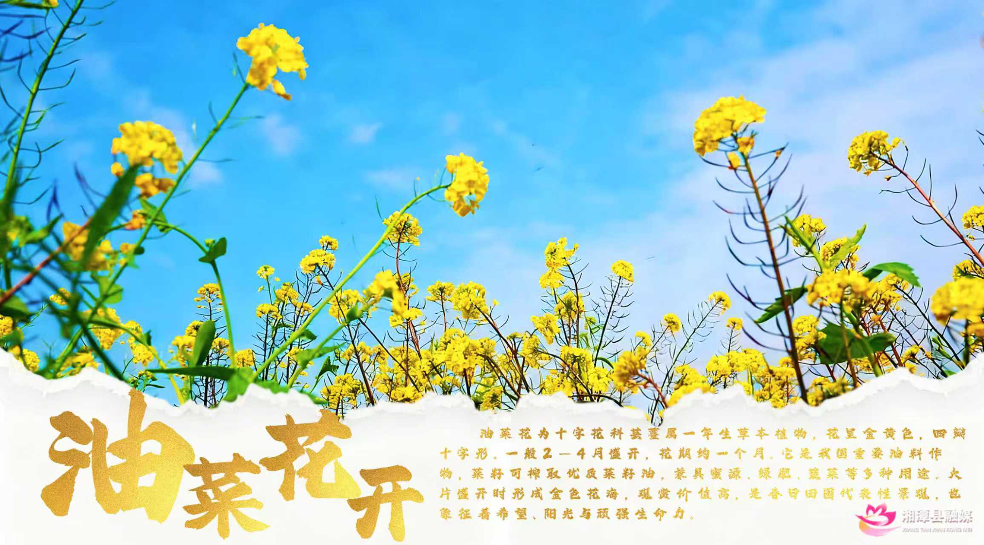 【美景在莲乡】万物复苏 油然而生