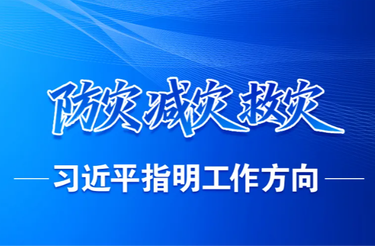 防灾减灾救灾，习近平指明工作方向