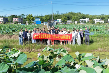 以镜头探寻湘莲文化！湘潭县“爱在莲乡” 采风行顺利举行