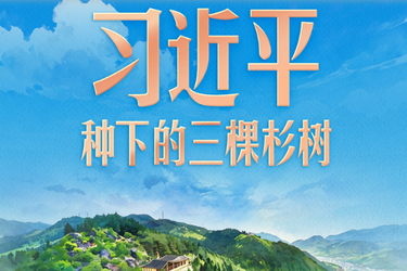习言道｜习近平种下的三棵杉树