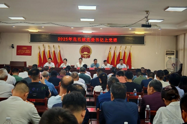 花石镇：系列活动庆 “七一” 红色基因铸初心 奋进力量启新程