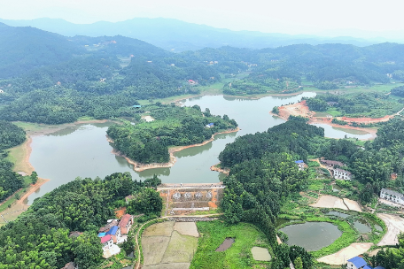 产业“莲”通致富路丨年味浓处产业兴 分水乡以水为媒绘就乡村振兴新图景