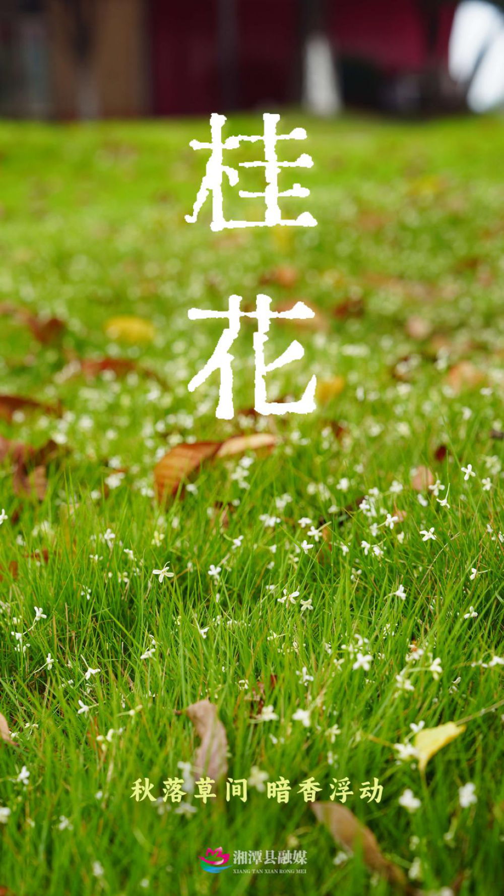 图片03.png