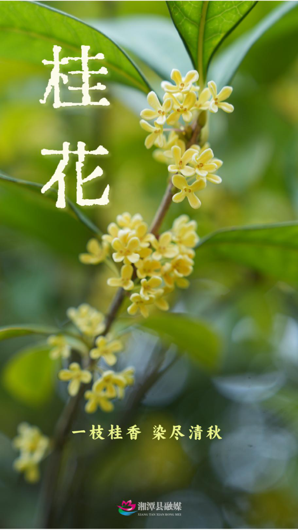 图片04.png