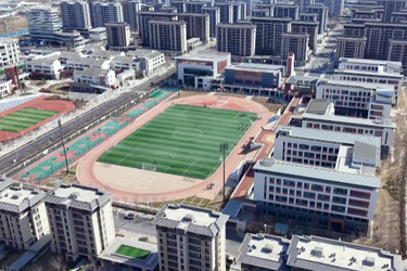 拾光纪·习近平心系雄安小“树苗”