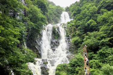 翰墨遇飞瀑！文艺名家共绘大美昌山