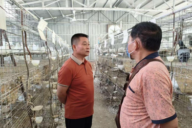 银发人才耀莲乡 离岗初心永不忘