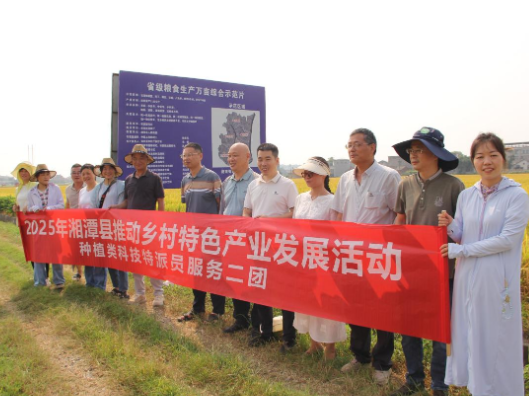 石潭镇：科技“智囊团”绘就农业丰收盛景