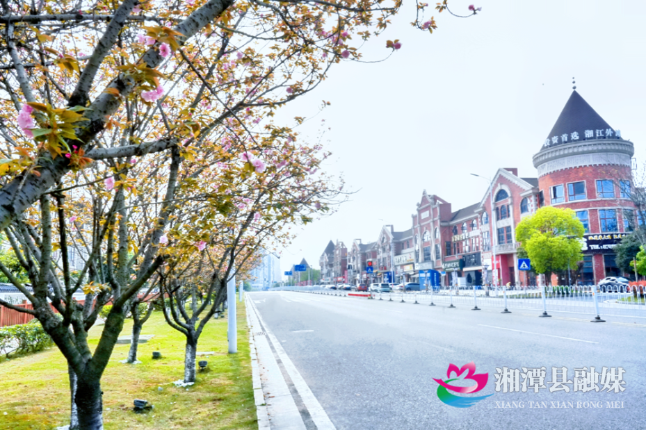 莲乡街头春意浓