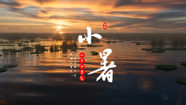 小暑·盛夏光年