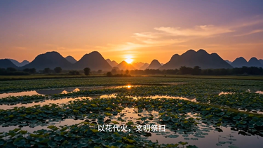 中元节：以花代火寄思念