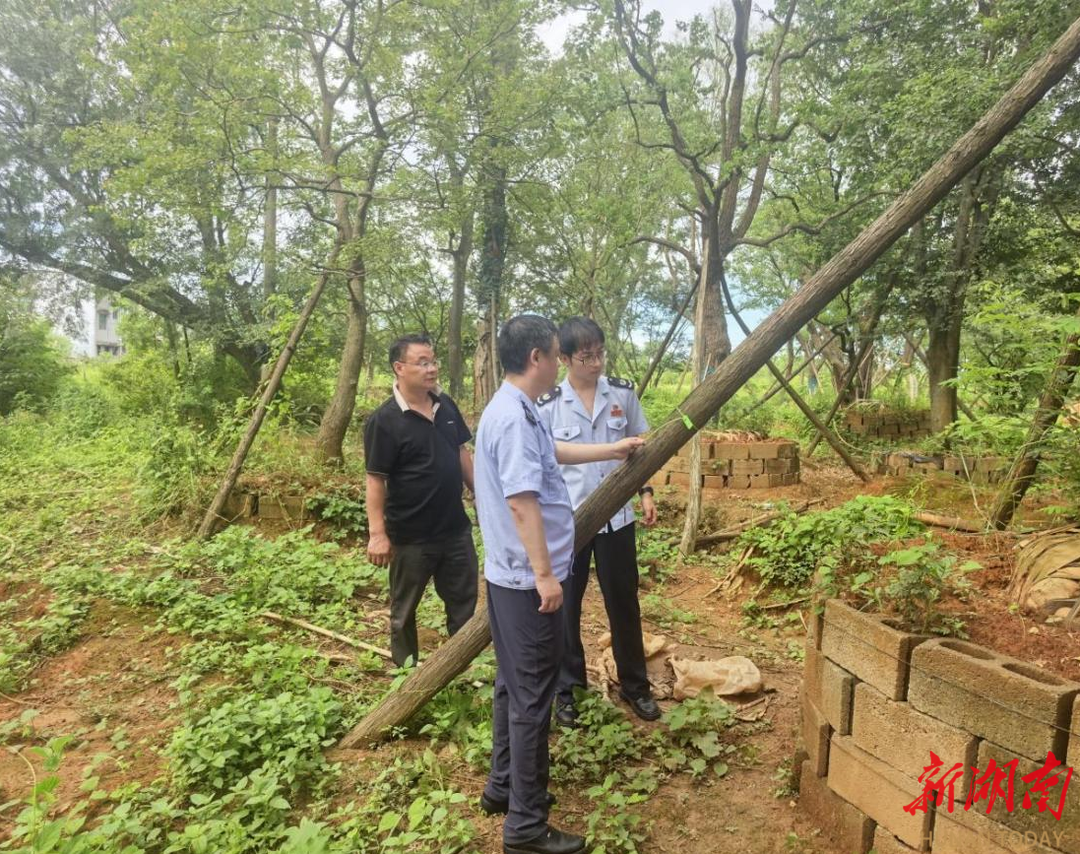 “企”航2026 | 减免税费40万！湘潭县税务局精细服务激活乡村苗木产业