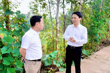 王利督导突出生态环境问题整改工作