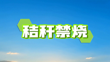 AI视频 | 秸秆归田 沃土生金