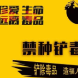 冷水滩区杨村甸乡：春耕不忘禁种铲毒 筑牢禁毒“防火墙”