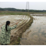 冷水滩区伊塘镇：春回大地暖 春耕正当时