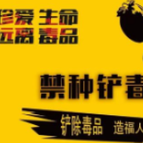 冷水滩区上岭桥镇：开展地毯式踏查 扫除“毒障”