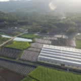 冷水滩：科技特派员 精准为农解难题