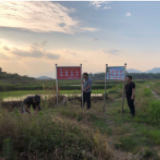 冷水滩区杉木桥小学：教师巡河保安全 建安全和谐校园