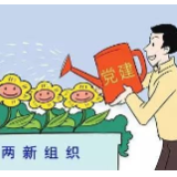 冷水滩区召开“两新”党建调研交流座谈会
