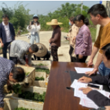 冷水滩：春季送苗下乡 助力脱贫攻坚